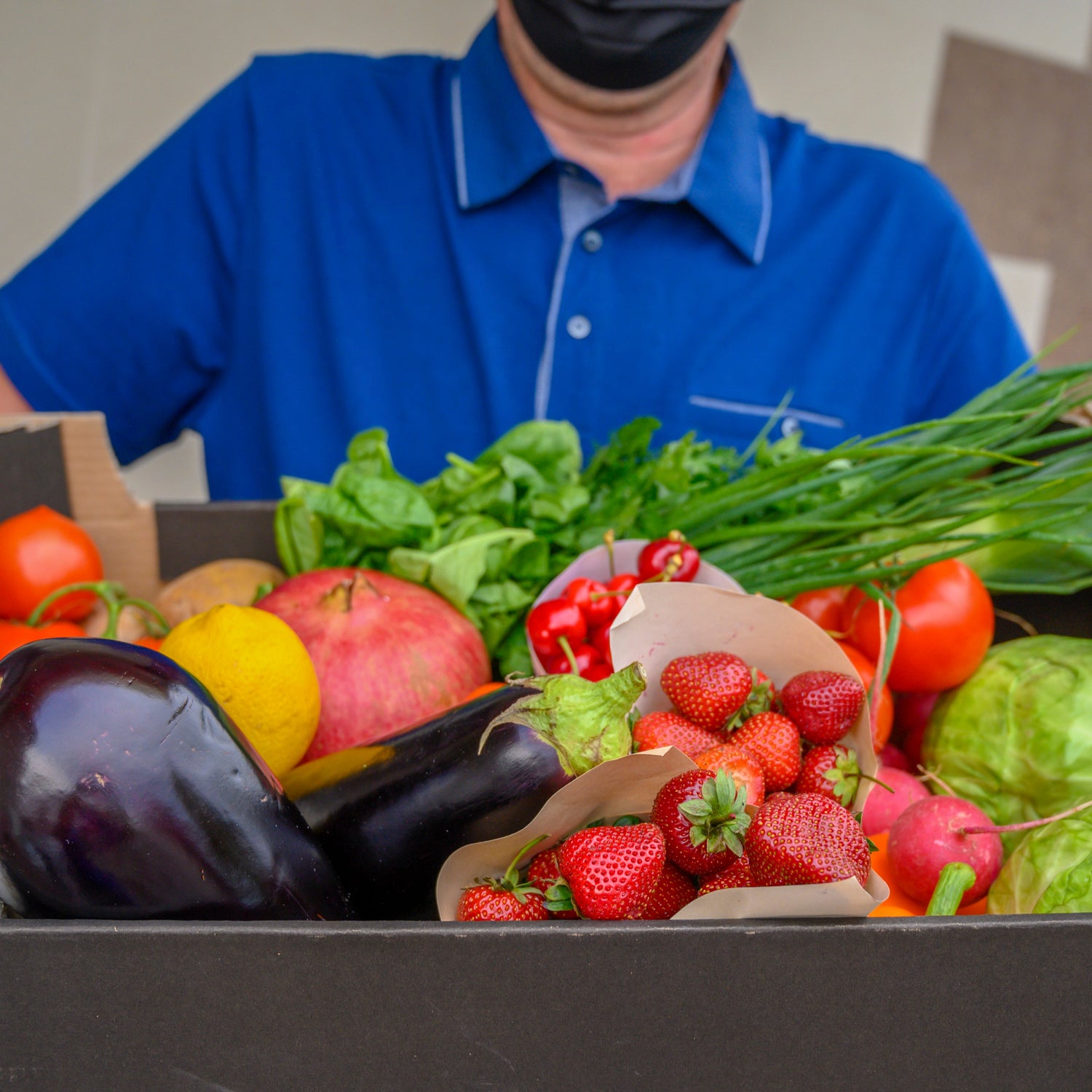 Fresh Groceries Online | Fruits, Vegetables, Dairy & Poultry Delivered Daily