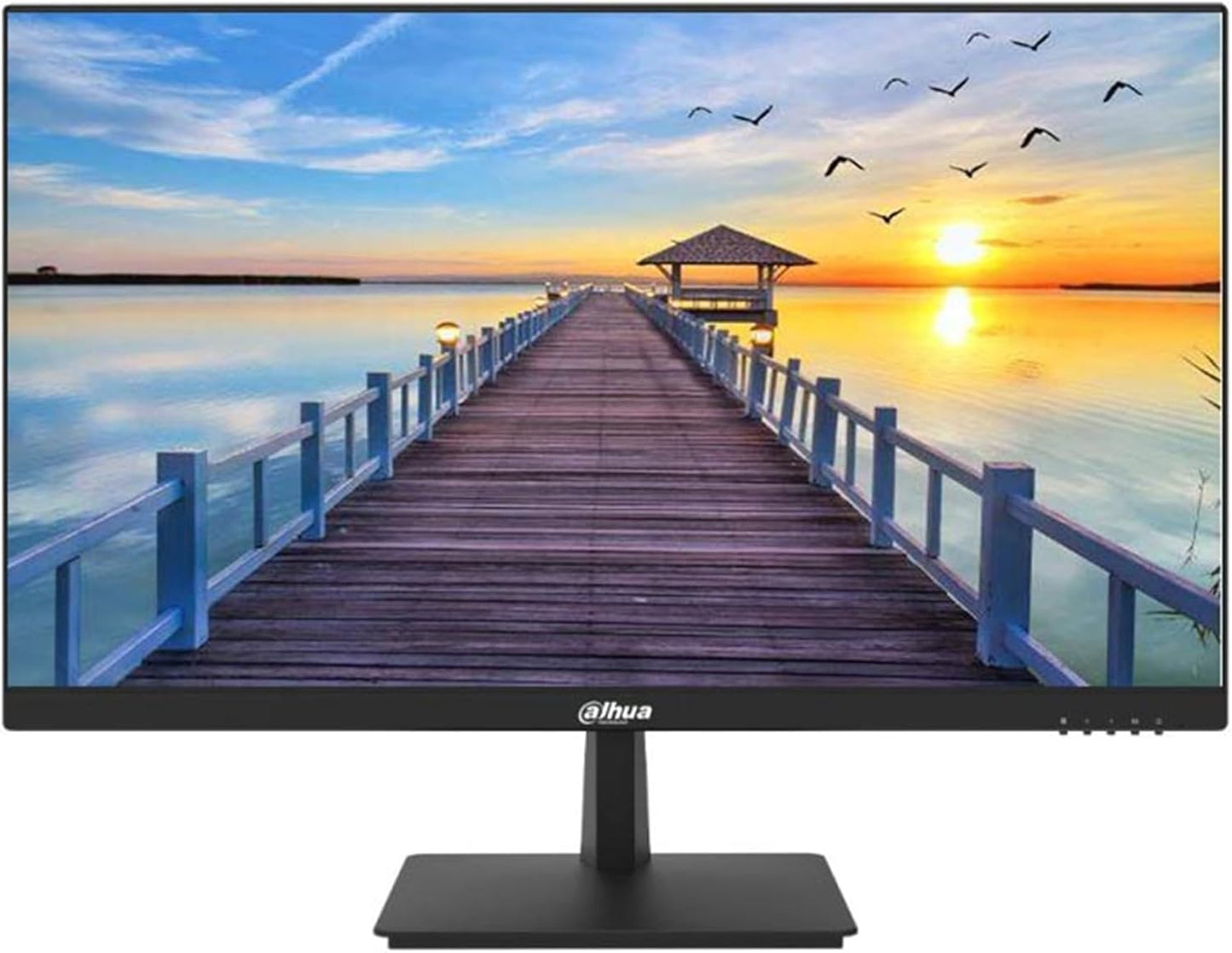 Dahua 27 Inch IPS Panel FullHD 100Hz Ultra-narrow bezel Monitor With HDMI,VGA - A201F
